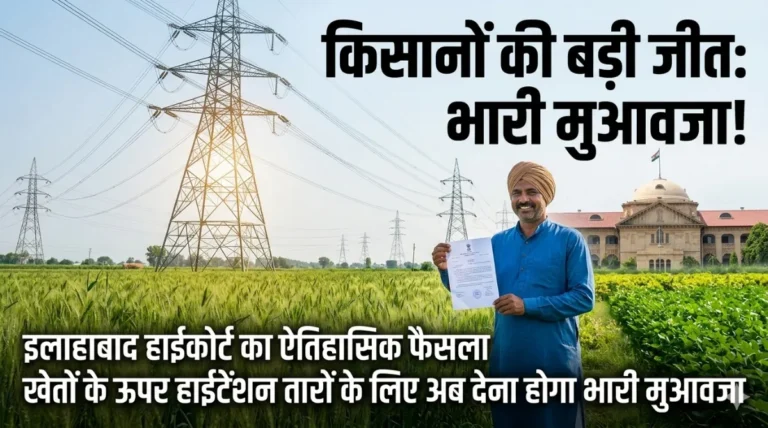 Allahabad High Court High Tension Wire compensation farmers decision 2026